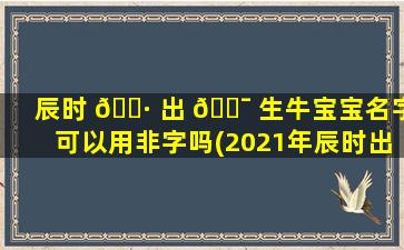 辰时 🌷 出 🐯 生牛宝宝名字可以用非字吗(2021年辰时出生的牛宝宝起名)